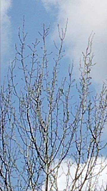 Весеннее караоке