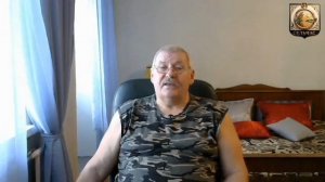 Опыт выращивания томатов без рассады.