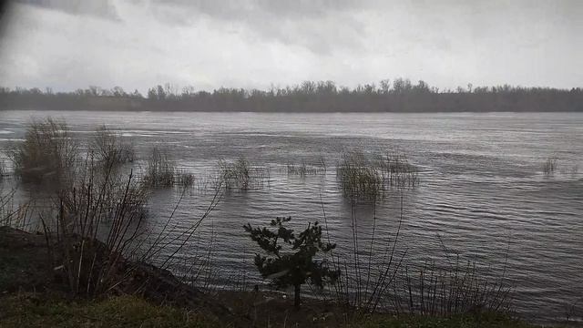 Хмурная погода. р.Ока 28.04.2026г.13ч21мин.