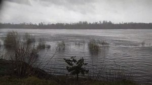 Хмурная погода. р.Ока 28.04.2026г.13ч21мин.