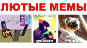 Лютые мемы. Крутая подборка приколов