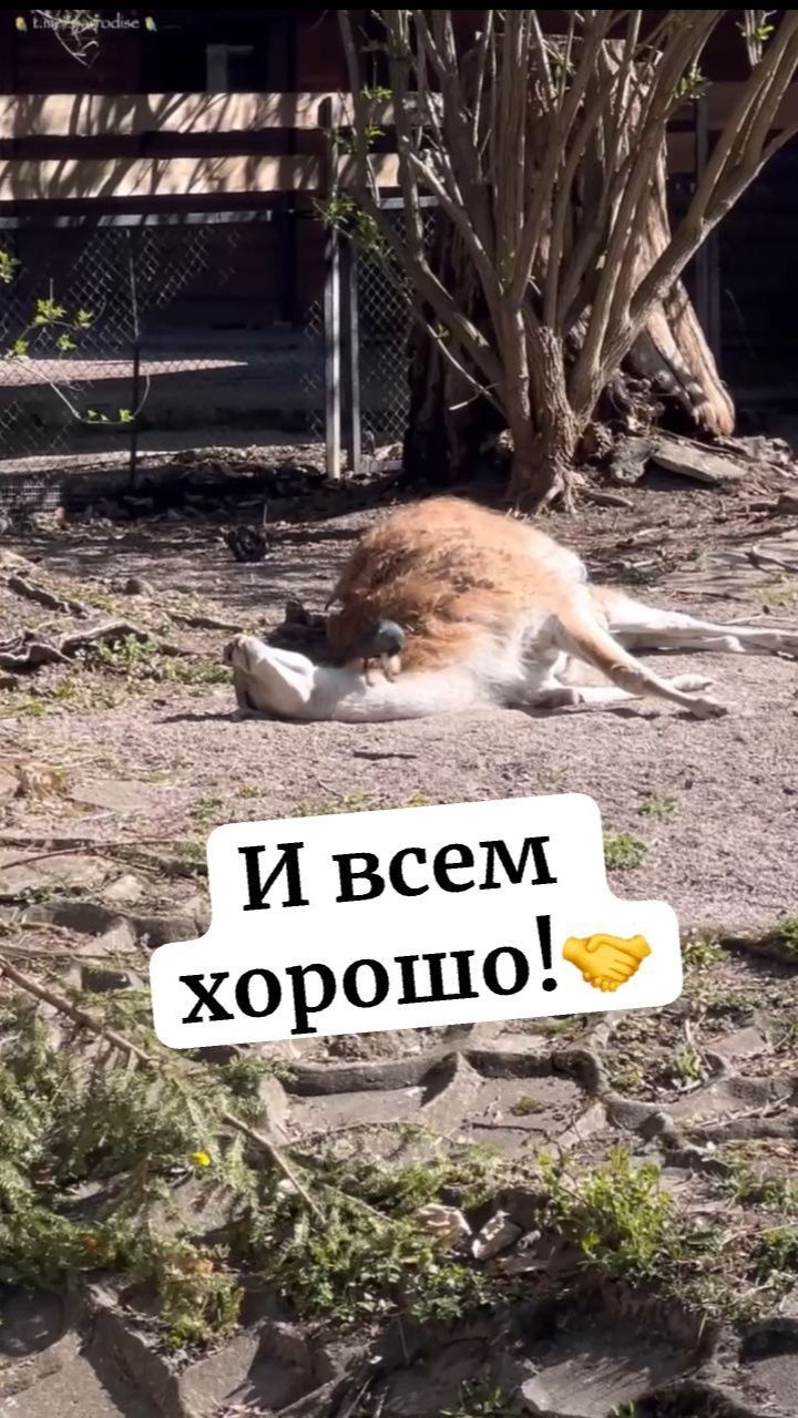 И всем хорошо!