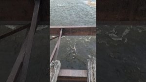 Река и мост