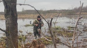 Охота на утку 2026 ( озеро Яхробол)