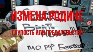 Измена Родине. Глупость или предательство