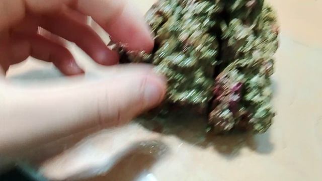 обзор ЖК для рифа.