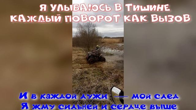 Как я лечу