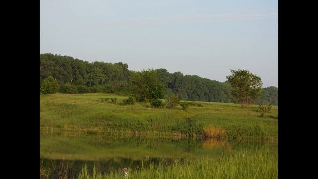 Рыбалка на карася на чудесном пруду. Улов не большой, но приятно отдохнули