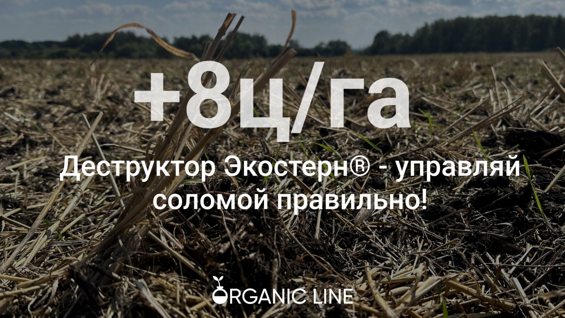 Прибавка урожайности гороха на 20 ц_га за 1000 рублей. Рассказываем как!