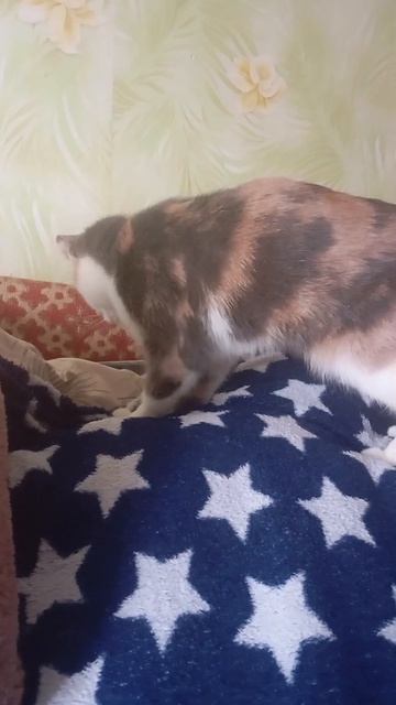 Кроватный батон