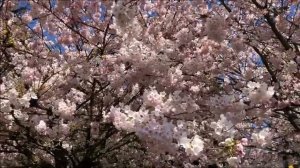 Нищета или прорыв. Что заберут в эту среду_