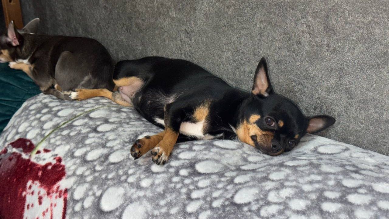 Всем самой доброй ночи и прекрасных снов!