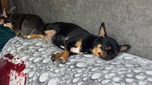 Всем самой доброй ночи и прекрасных снов!