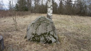 На родине Н. Н. Миклухо-Маклая