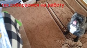 14.04.07.20.Так мы собираемся на работу.