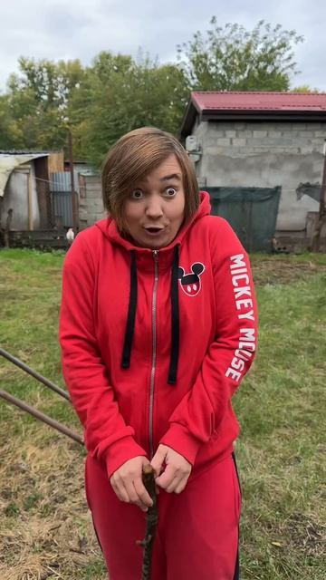 Светка додумалась