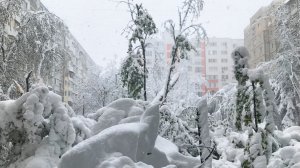 В Дмитрове выросли «декабрьские» сугробы: магазины без света, «каша» на дорогах и снеговики