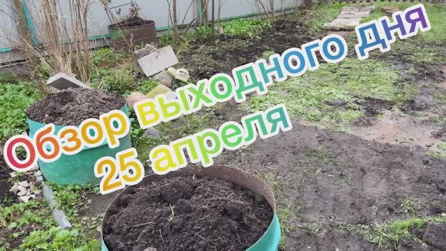 Обзор выходного дня 25 апреля