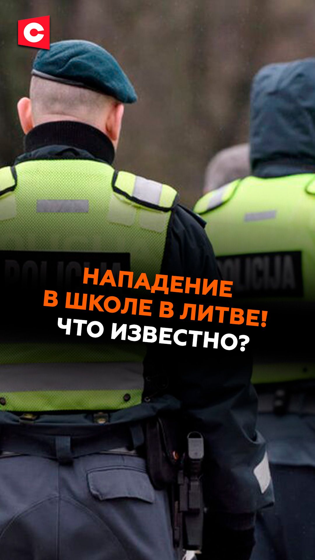 Нападение в школе в Литве! Что известно? #литва #чп #происшествие #трагедия #новости #ств