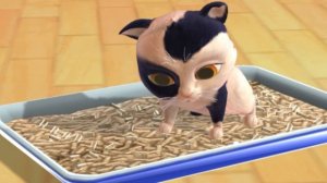 Котёнок 🐱 Играет Видео для детей маленький котёнок