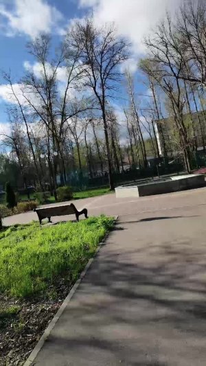 парк в нашем город