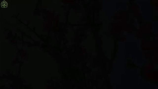 Лечит душу красивое чтение Корана