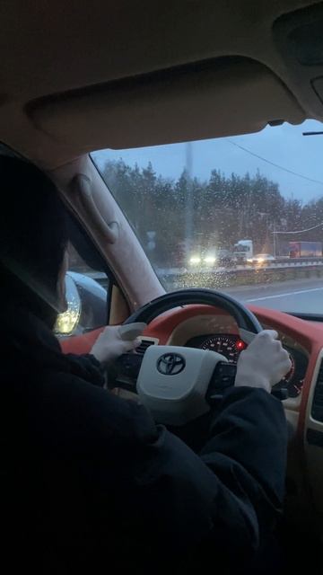 Cвета DIESEL 761