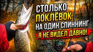 Спиннинг Шторм 2,10 не подвел на щуке! Много поклёвок и мощный финал.