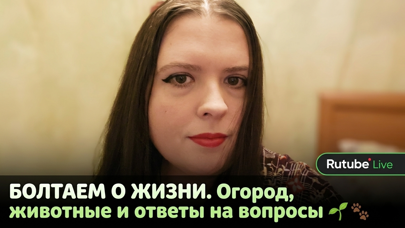 Болтаем о жизни: ответы на вопросы и новости ☕️