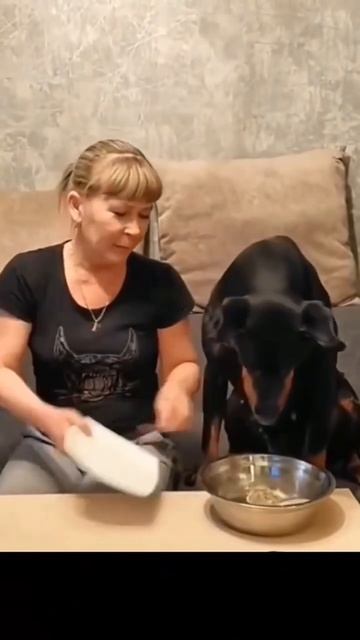 Милоты Вам в ленту