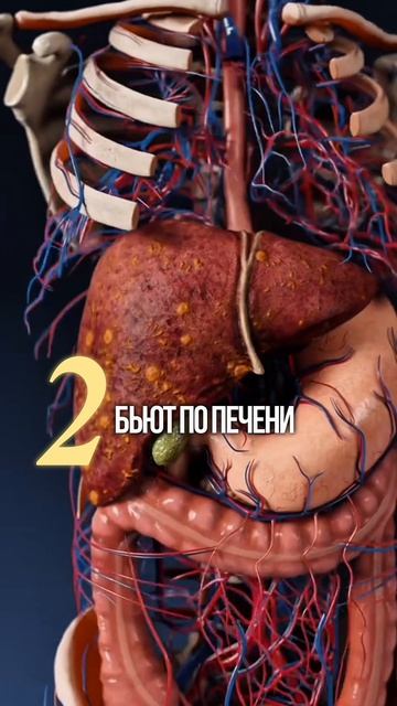 Усталость, аллергии? Виновата плесень в доме.Хочешь рекомендации? Свяжись со мной по ссылке в шапке