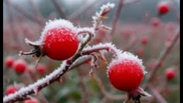 29 апреля - Арина — «урви берега»- Приметы и традиции