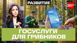 Грибы через Госуслуги: кому потребуется оформлять разрешение перед походом в лес