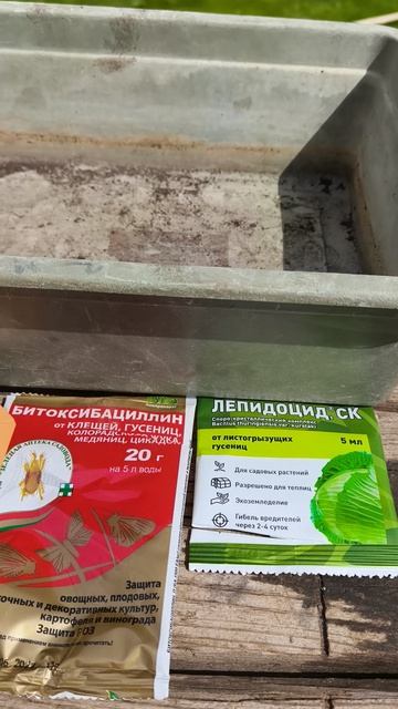 смородина обработка от насекомых 28 апреля #теплица #дача #садоводничество #огород #уходзатеплицей