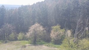 28.04.2026. Вид на Эльбрус с горы Кольцо #Кисловодск