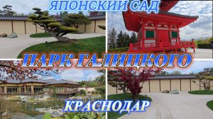 НАКОНЕЦ-ТО МЫ ТУДА ПОПАЛИ, ЯПОНСКИЙ САД В ПАРКЕ ГАЛИЦКОГО, КРАСНОДАР