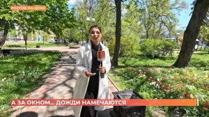 А за окном. 28 апреля 2026