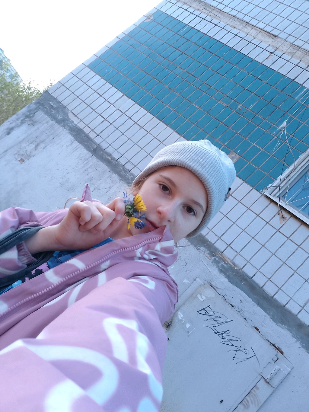 хаю хай