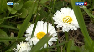 Гидрометцентр сообщил о теплой погоде в КБР на предстоящей неделе