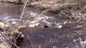 Карелия. Петрозаводск. Без слов...Смотрю...Просто посмотри вокруг. Часть 2.