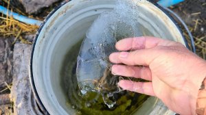 заморозок на 28 апреля 26г