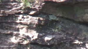 Национальный парк Чжанцзяцзе «Парящие горы»