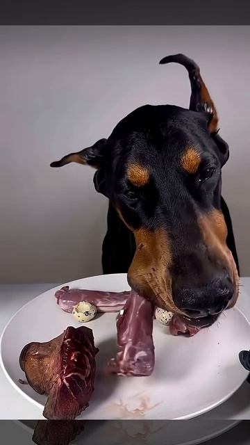 Ужин джентельмена🍽))