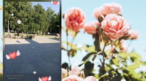 РОДНОЙ ПОСЁЛОК 💫💫💫❤️❤️❤️