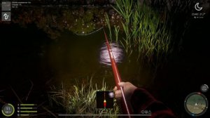 Russian Fishing 4 12 серия набираю 12 уровень  и монетки