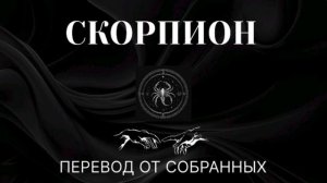 СКОРПИОН. ПЕРЕВОД ОТ СОБРАННЫХ #скорпион