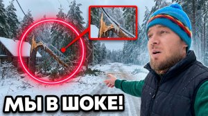 Такого мы ещё не видели! Выживаем в деревне после разрушительного ледяного шторма