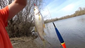 Весенняя рыбалка. Открытие сезона 2026.