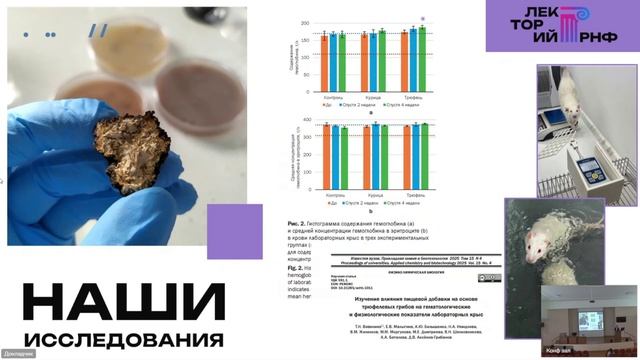 Денис Аксенов-Грибанов кандидат биологических наук доцент проректор по научной работе ИГУ