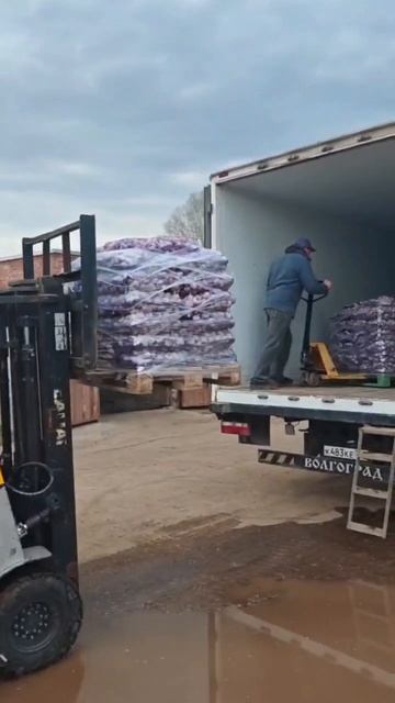 Продолжаем ОТГРУЖАТЬ ЧЕСНОК в сети!